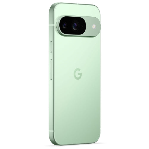Reconditionné (état correct) - Google Pixel 9 128 Go - Vert d'hiver - Débloqué