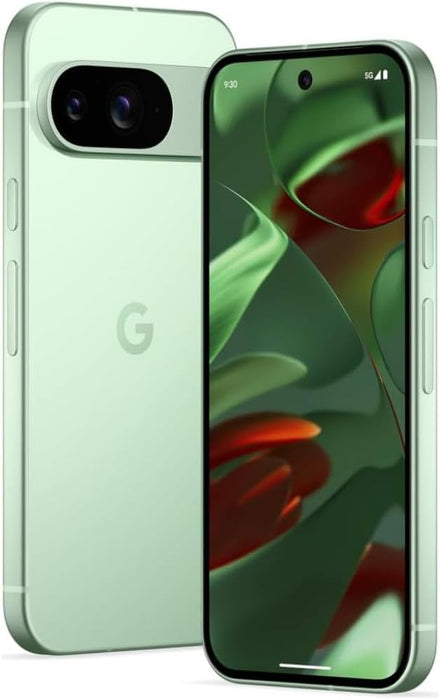Reconditionné (état correct) - Google Pixel 9 128 Go - Vert d'hiver - Débloqué